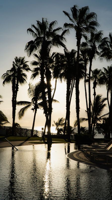 Hilton Los Cabos Sunrise