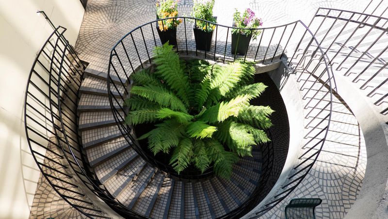 Embarcadero 1 Stairs
