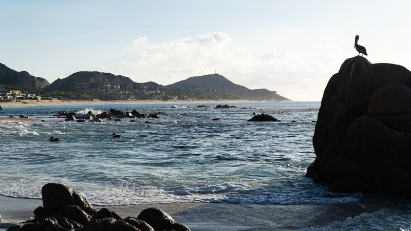 Playa El Bledito