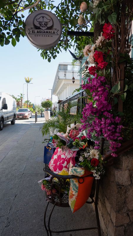 San Jos del Cabo Centro Historico