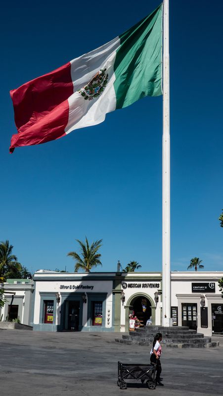 Plaza Mijares Flag