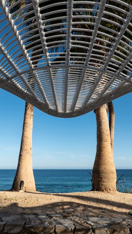 Hilton Los Cabos Lounge Chair Views