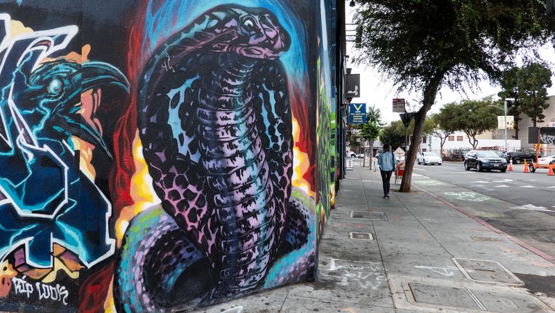 RIP LOOK Cobra