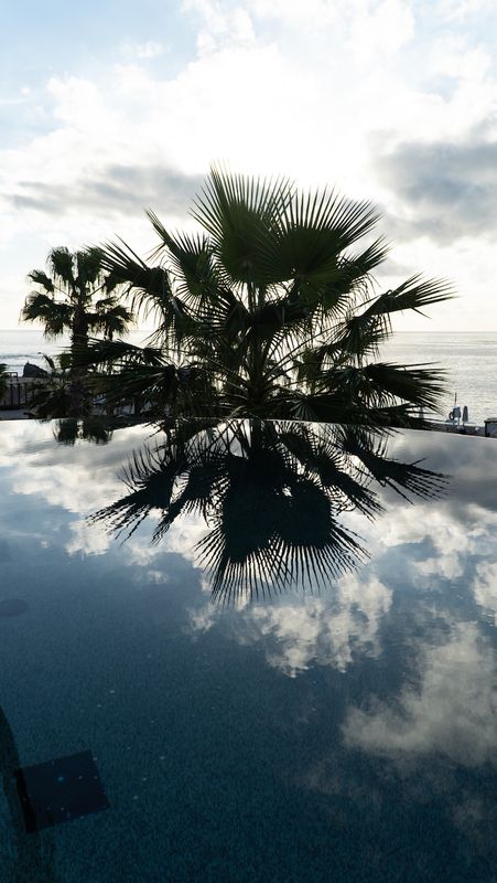 Hilton Los Cabos Pool