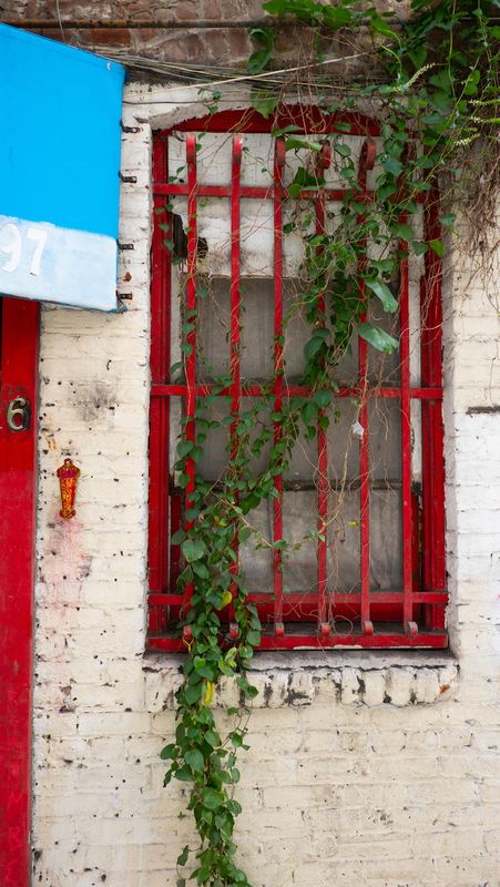 Chinatown Window