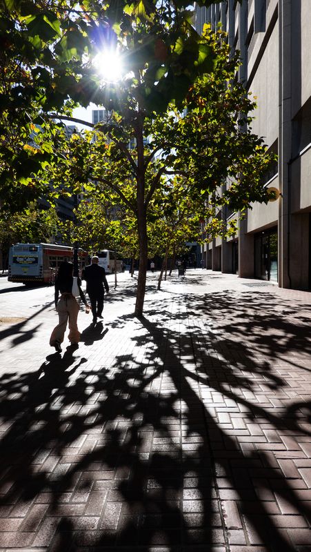 Sunny Day on Market Street