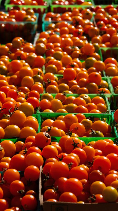 Ferry Building Farmers Market Cherry Tomatoes