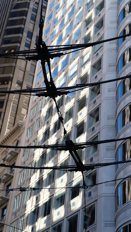 MUNI Wires