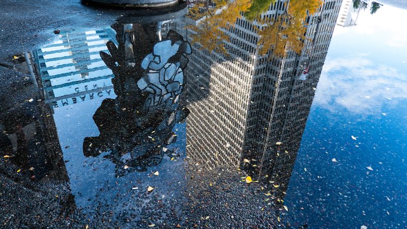 Embarcadero Plaza Puddle