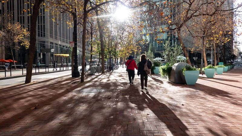 Historic Market Street: Path Of Gold Walking Tour