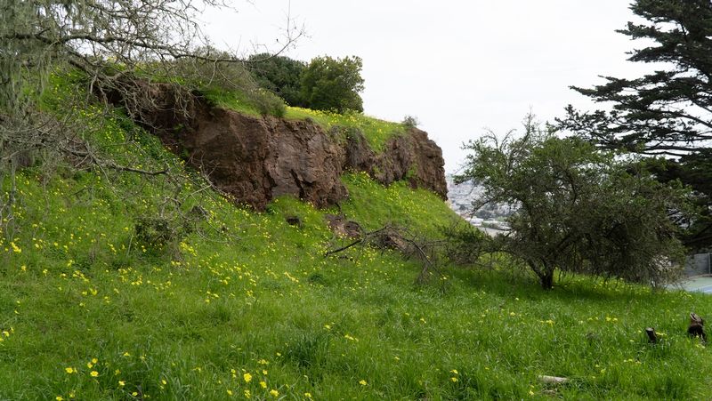 Corona Heights Park