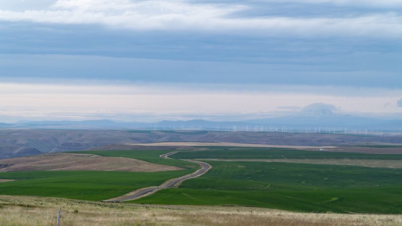 Wheat Fields and Wind Farms