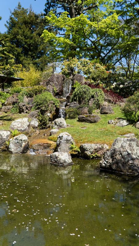 San Francisco Japanese Tea Garden