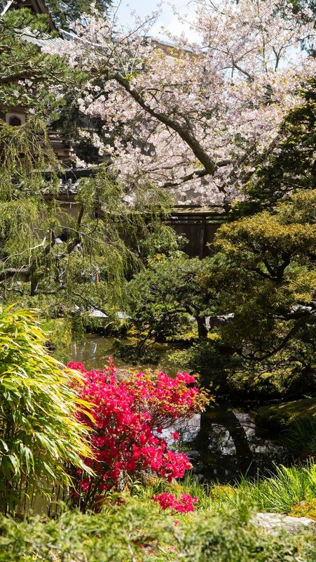 San Francisco Japanese Tea Garden