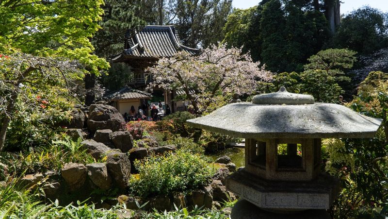 San Francisco Japanese Tea Garden