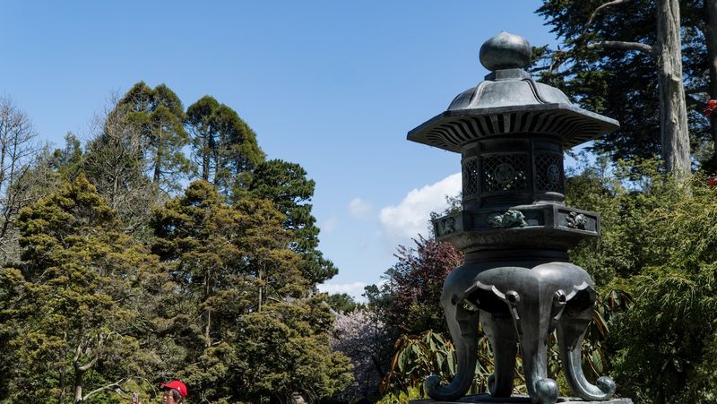 San Francisco Japanese Tea Garden