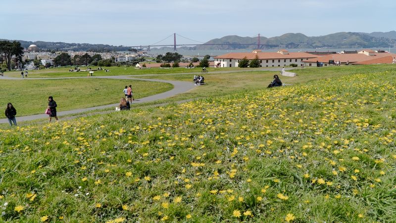 San Francisco 2025