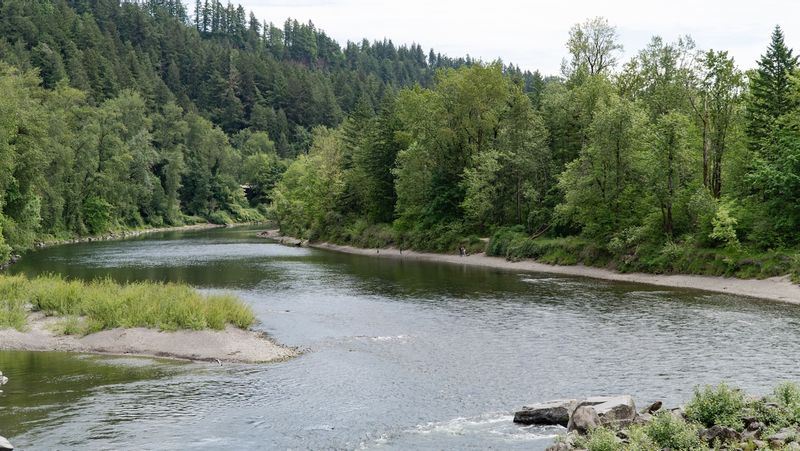 Oregon Green