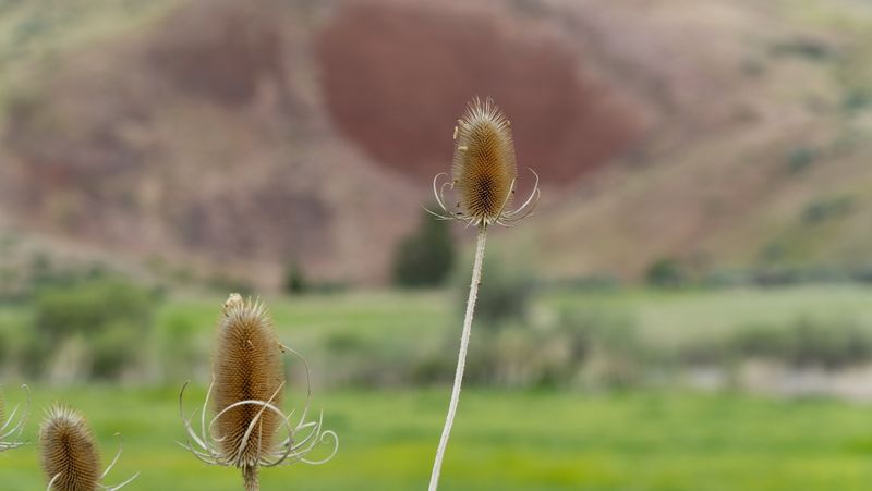 Central Oregon
