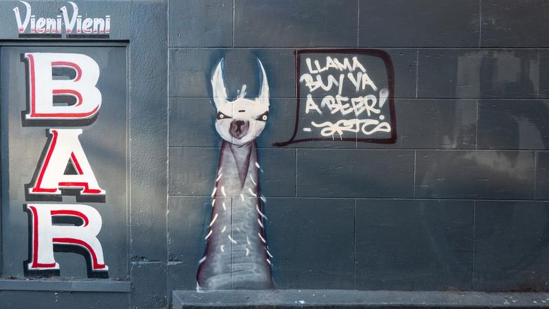Llama buy ya a beer!