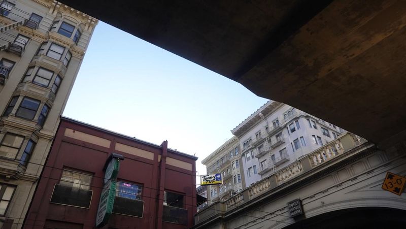 Look Up