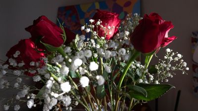 g13/41/570641/3/173418248.02b122f5.JPEG