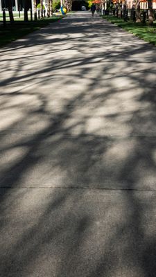 Walkway Shadows