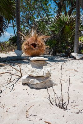 Beach Coconut Art