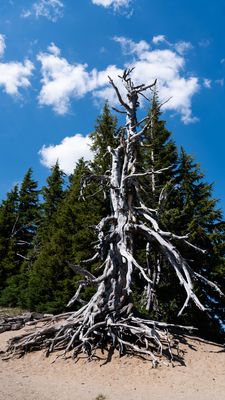 Crater Lake National Park