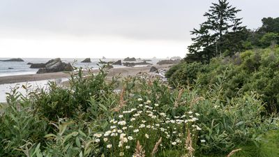 Harris Beach State Park