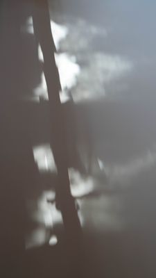 g13/41/570641/3/173894847.f91b45f7.JPEG