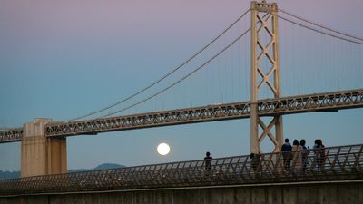 g13/41/570641/3/174157930.8a098ed0.JPEG