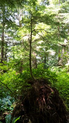 Northern Oregon Coast