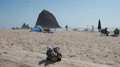 The Pandafords Visit Cannon Beach Oregon