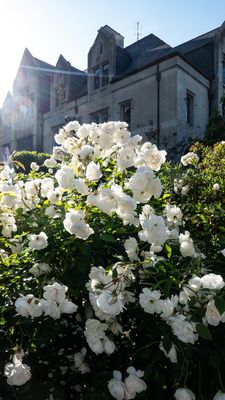 g13/41/570641/3/175786139.a7bc4102.JPEG