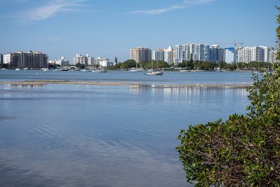 Sarasota Bay-010138.jpg