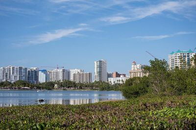 Sarasota Bay-010166.jpg