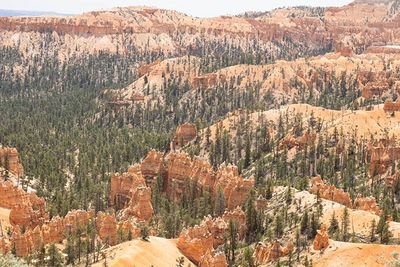 Bryce Canyon-5180596.jpg