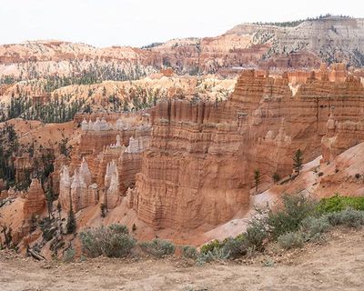 Bryce Hoodoos-5180529.jpg