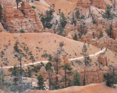 Bryce Hiking Trail-5180551.jpg