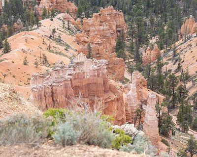 Bryce Hoodoos-5180530.jpg