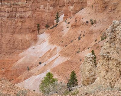 Bryce Hoodoos-5180544.jpg