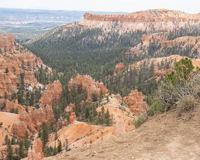 Bryce Hoodoos-5180563.jpg