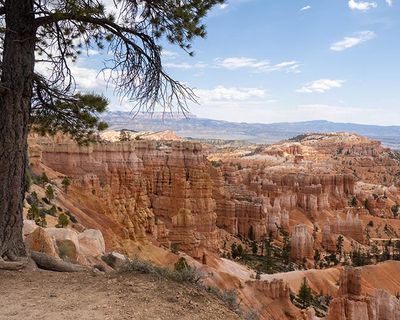 Bryce Hoodoos-5180567.jpg