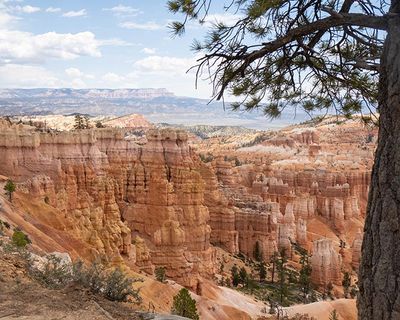 Bryce Hoodoos-5180573.jpg