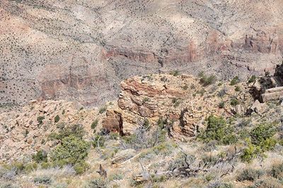 Grand Canyon-5150183.jpg