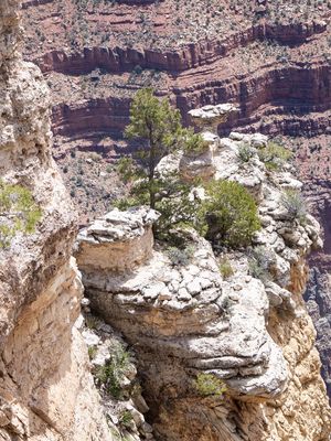 Grand Canyon-5150220.jpg