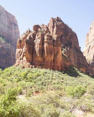 Zion Canyon-5190007.jpg