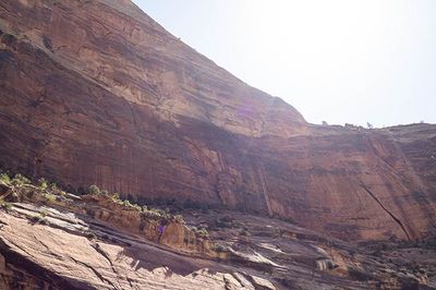 Zion Canyon-5190027.jpg