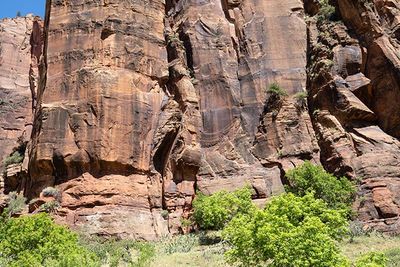 Zion Canyon-5190060.jpg